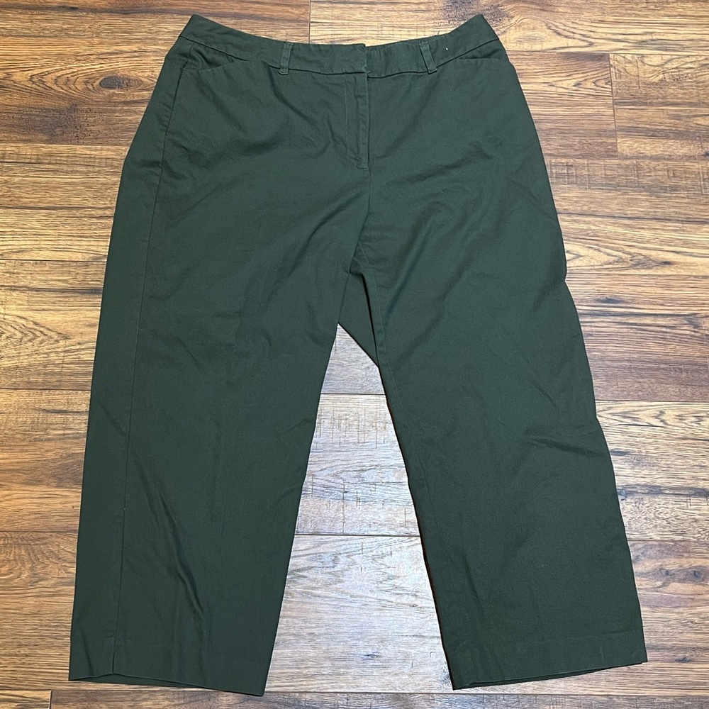 George Dress Capri Pants Size 14